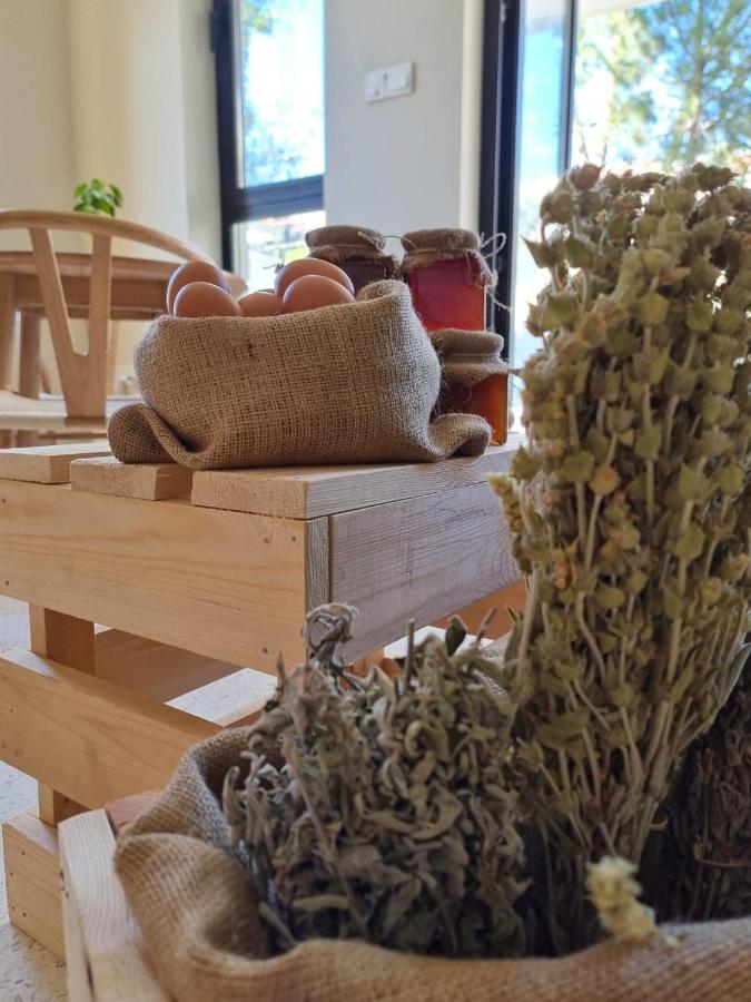 Thymises Boutique Hotel Κακοπετριά Εξωτερικό φωτογραφία